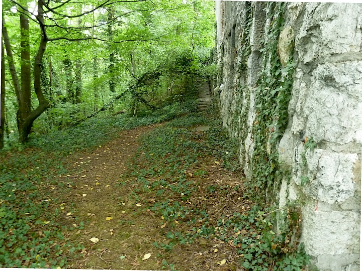 Vue sur le cheminement du côté forêt. On constate la forte proximité de la lisière avec la Chapelle.